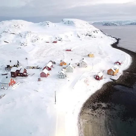 Arctic