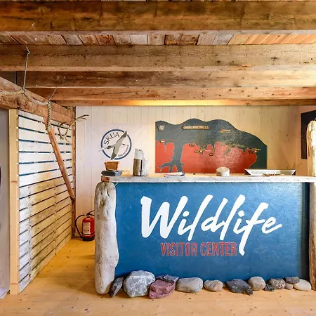 Arctic Guest house