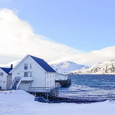 Arctic 4*