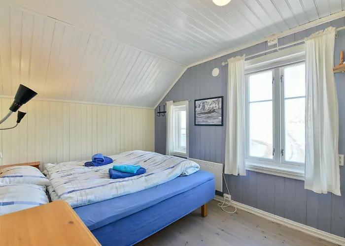 Arctic 4*